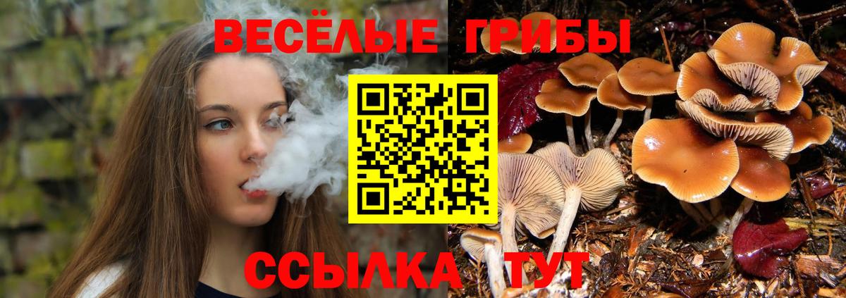 Астрахань  Галлюциногенные грибы прущие грибы  Вход с VPN 